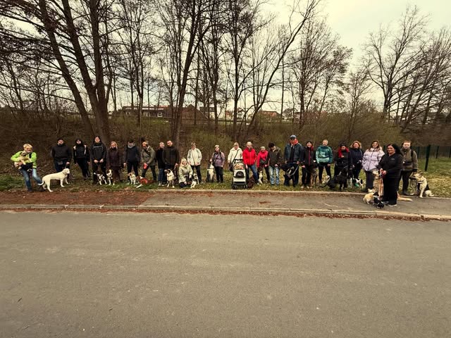 Mensch-Hund-Gruppe bei einem gemeinsamen Ausflug, Foto von IMPULS